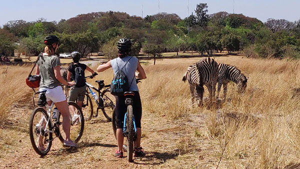 Mountain Biking Krugerpark